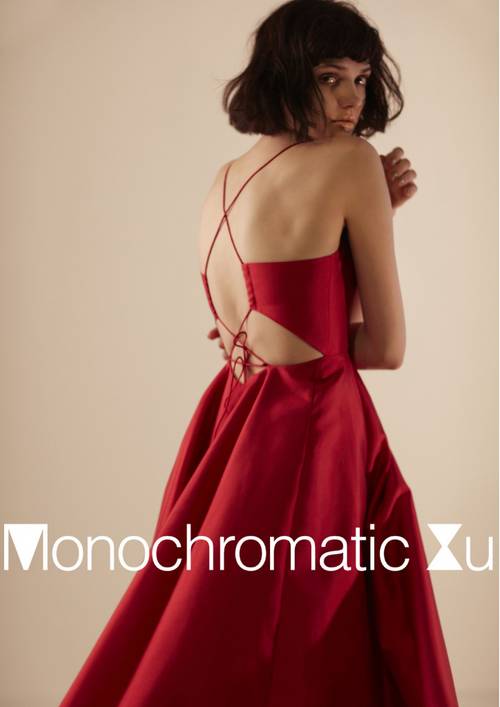 Monochromatic Xu