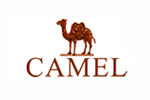 ��(CAMEL)