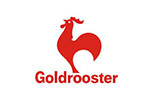 Goldrooster金鸡