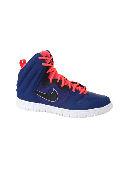 NIKEͿ2013＾¿DUNK FREE˶Ь